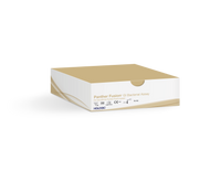 Caja de un ensayo sobre fondo blanco