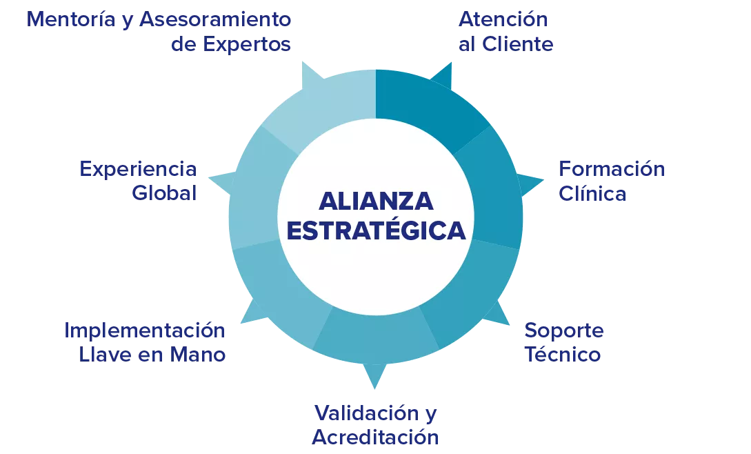 Gráfico que muestra un círculo con puntos seccionados alineados con palabras clave