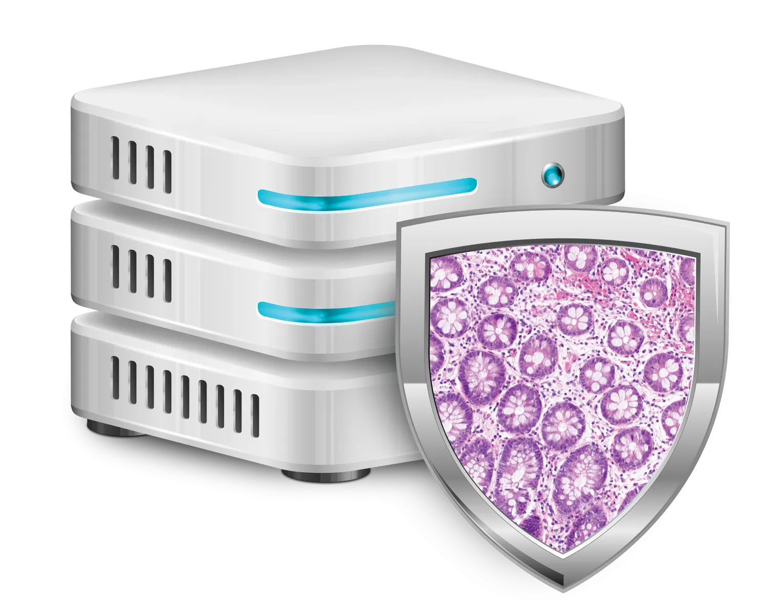 Servidor de gestión de imágenes (IMS) Genius para histología sobre fondo blanco